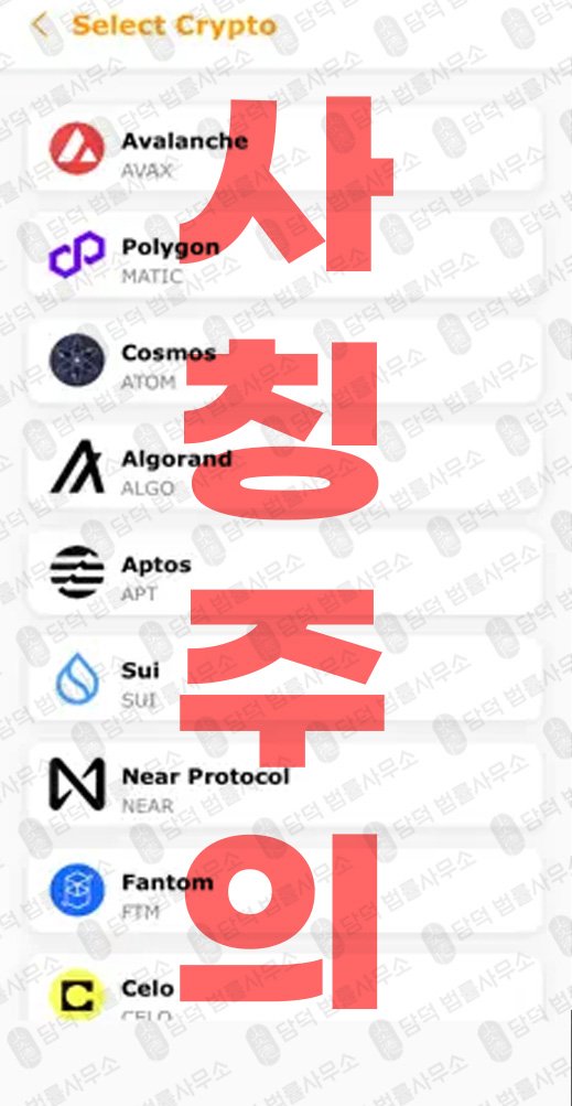 이 사진은 담덕법률사무소에서 캡쳐해둔 사칭(Bitffx) 웹사이트 캡쳐 사진이며 URL은 google.com 입니다.