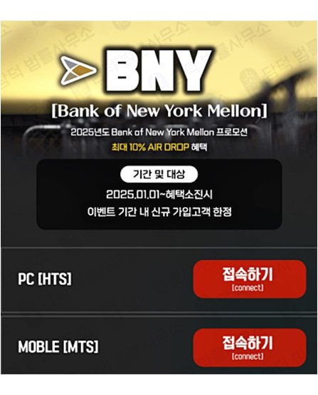 이 사진은 담덕법률사무소에서 캡쳐해둔 사칭(BNY) 웹사이트 캡쳐 사진이며 URL은 bny365.pro 입니다.