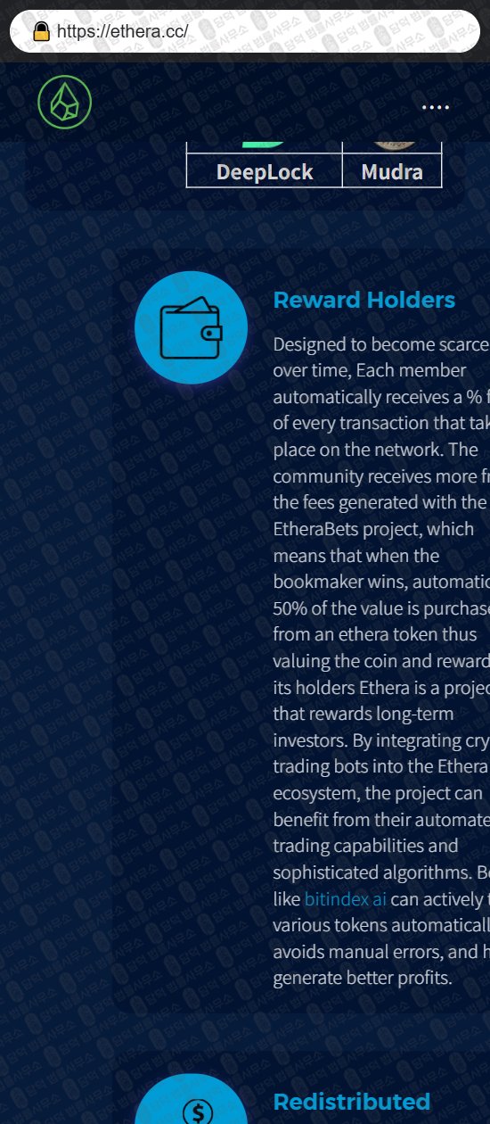 이 사진은 담덕법률사무소에서 캡쳐해둔 패시브(ETHERA) 웹사이트 캡쳐 사진이며 URL은 ethera.cc 입니다.