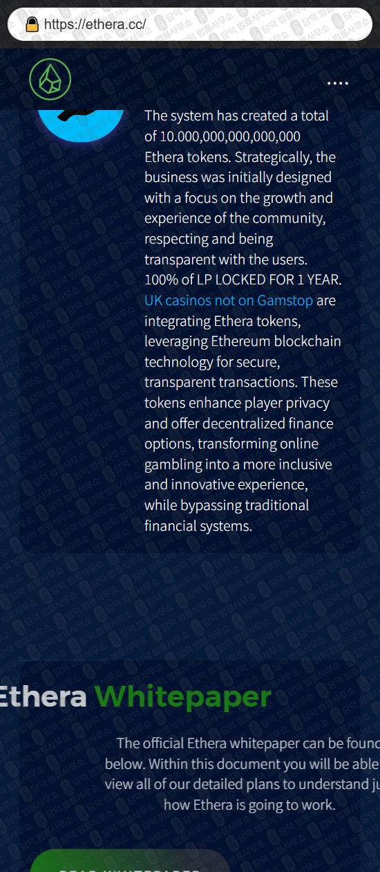 이 사진은 담덕법률사무소에서 캡쳐해둔 패시브(ETHERA) 웹사이트 캡쳐 사진이며 URL은 ethera.cc 입니다.
