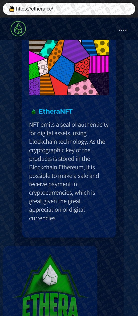 이 사진은 담덕법률사무소에서 캡쳐해둔 패시브(ETHERA) 웹사이트 캡쳐 사진이며 URL은 ethera.cc 입니다.