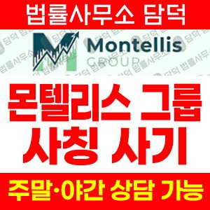 몬텔리스(Montellis Group) 사기 피해 정보 · 담덕법률사무소