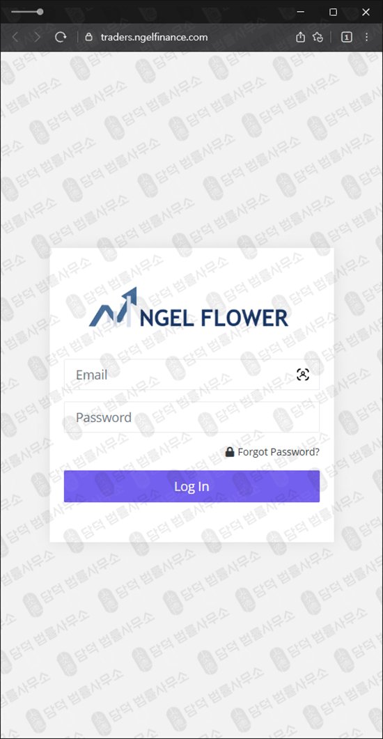 이 사진은 담덕법률사무소에서 캡쳐해둔 엔젤(NGEL FINANCE) 웹사이트 캡쳐 사진이며 URL은 ngelfinance.com 입니다.