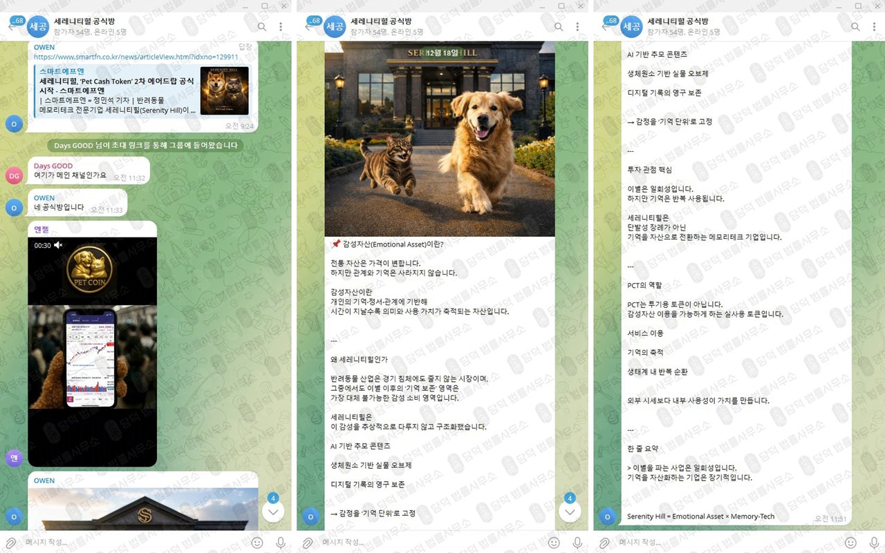 이 사진은 담덕법률사무소에서 캡쳐해둔 접근(PCT) 웹사이트 캡쳐 사진이며 URL은 petcashtoken.com 입니다.