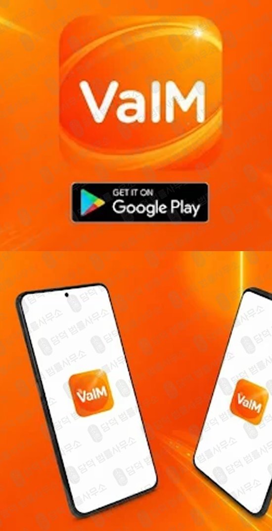 이 사진은 담덕법률사무소에서 캡쳐해둔 폰지(VaIM PRO) 웹사이트 캡쳐 사진이며 URL은 google.com 입니다.