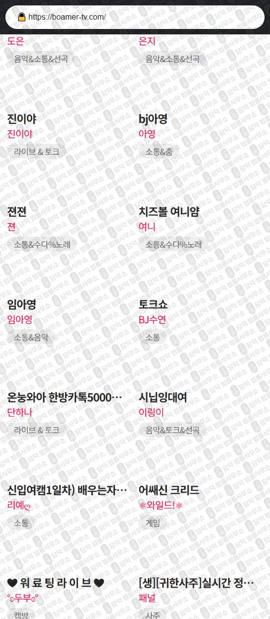 이 사진은 담덕법률사무소에서 캡쳐해둔 바이빅스(VIBIX) 웹사이트 캡쳐 사진이며 URL은 takemetv.com 입니다.