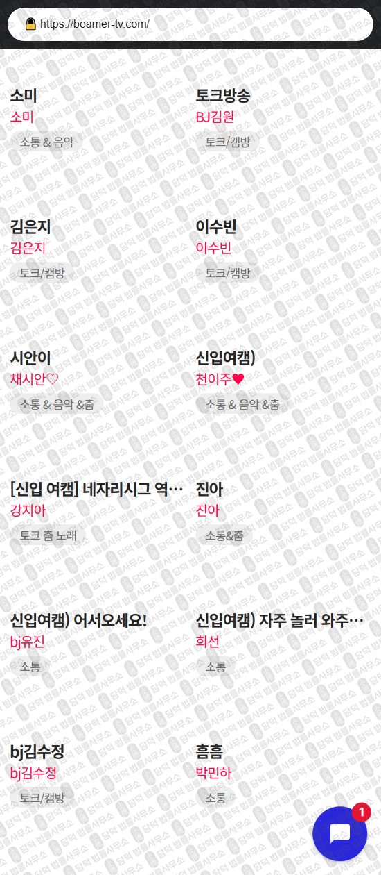이 사진은 담덕법률사무소에서 캡쳐해둔 바이빅스(VIBIX) 웹사이트 캡쳐 사진이며 URL은 takemetv.com 입니다.